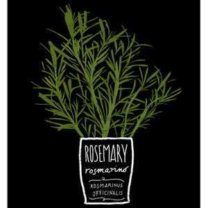 ROSEMARY Kitchen Art Print 11x15 archival fine art giclée print image 3