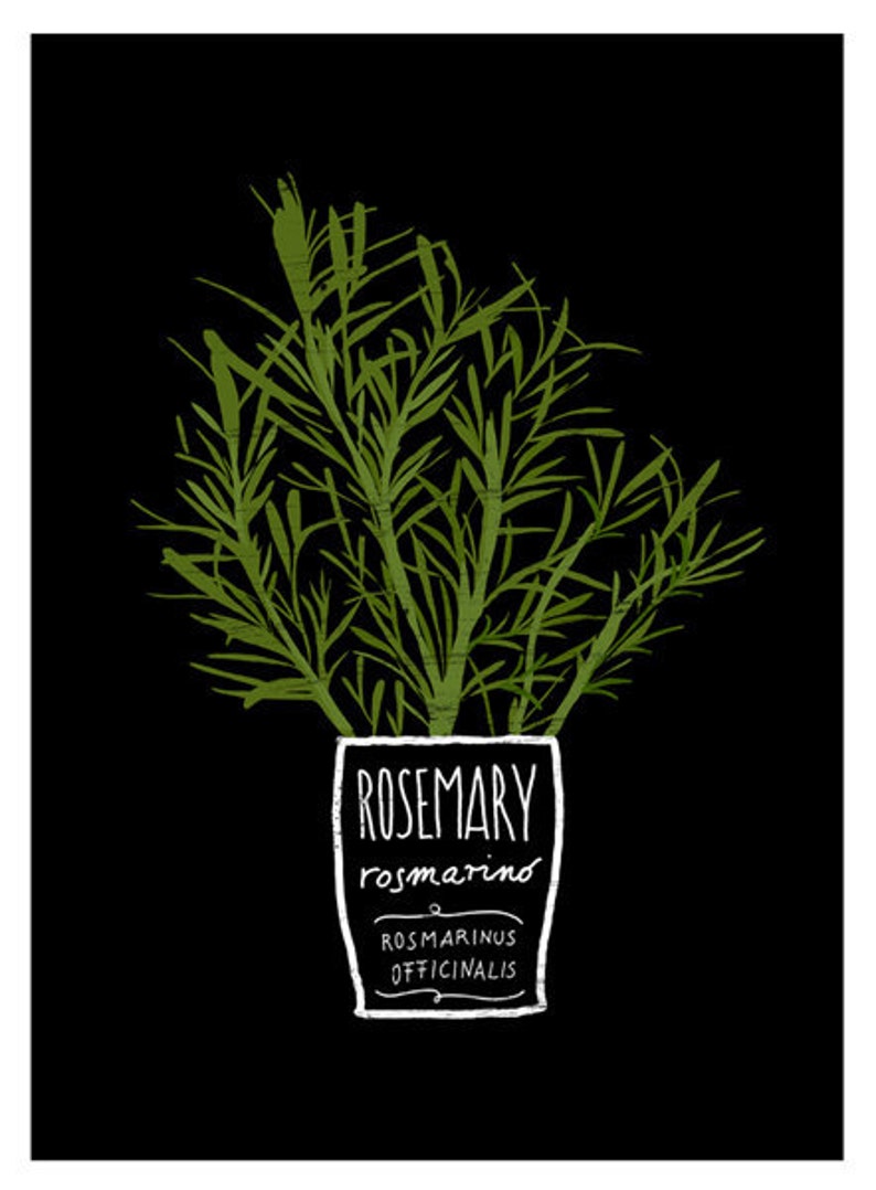 ROSEMARY Kitchen Art Print Mediterranean Herbs Garden High Etsy