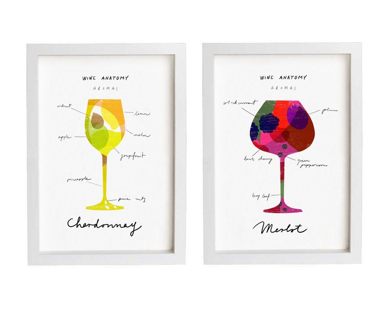 Art for wine lovers Wine Anatomy print Chardonnay Illustration 11x15 archival fine art giclée print image 4