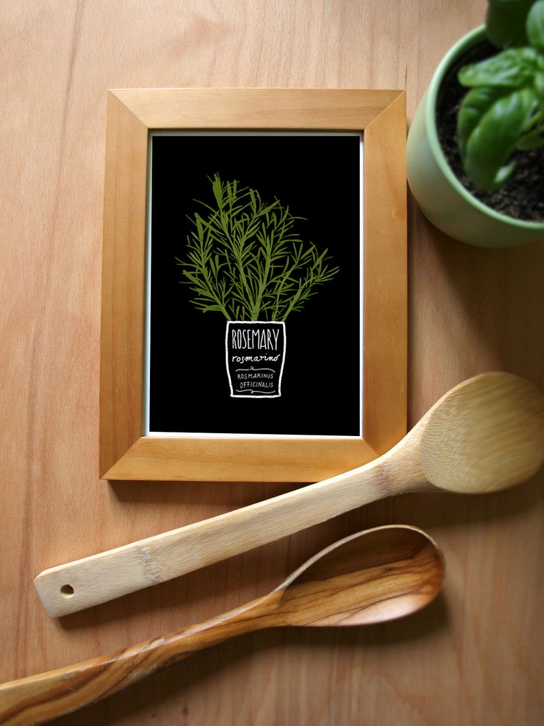 ROSEMARY Kitchen Art Print 11x15 archival fine art giclée print image 2