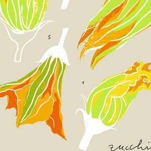 Zucchini blossoms beige Kitchen art print 11x15 archival fine art giclée print image 3