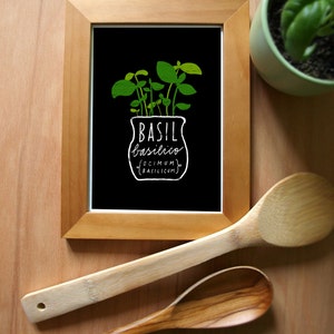 Basil Herb Mediterranean Green Kitchen Art Print 11x15 archival fine art giclée print image 3