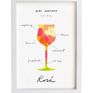 Rosé Wine Art - Wine Anatomy print - Wine Illustration - 11"x15 - archival fine art giclée print