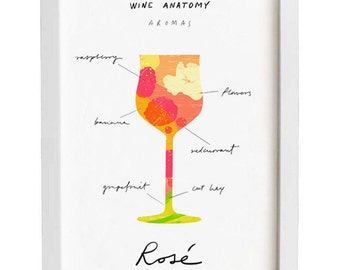 Rosé Wine Art - Wine Anatomy print - Wine Illustration - 11"x15 - archival fine art giclée print
