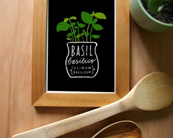 Basil Herb Print - Mediterranean Garden Art - high quality fine art print