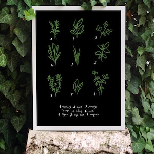 Kitchen Art Print Herbs 11"x15 Botanical Chart Mediterranean Black Garden - archival fine art giclée print