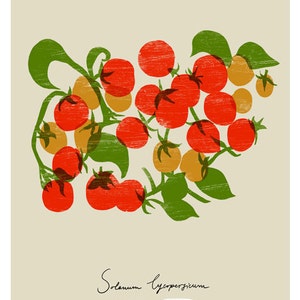 Cherry Tomatoes Poster print 20x27 archival fine art giclée print image 4