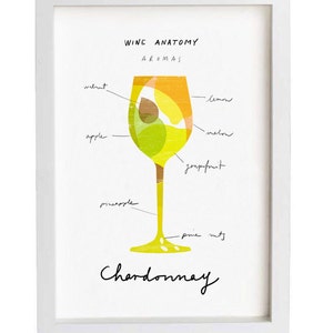 Art for wine lovers Wine Anatomy print Chardonnay Illustration 11x15 archival fine art giclée print image 1