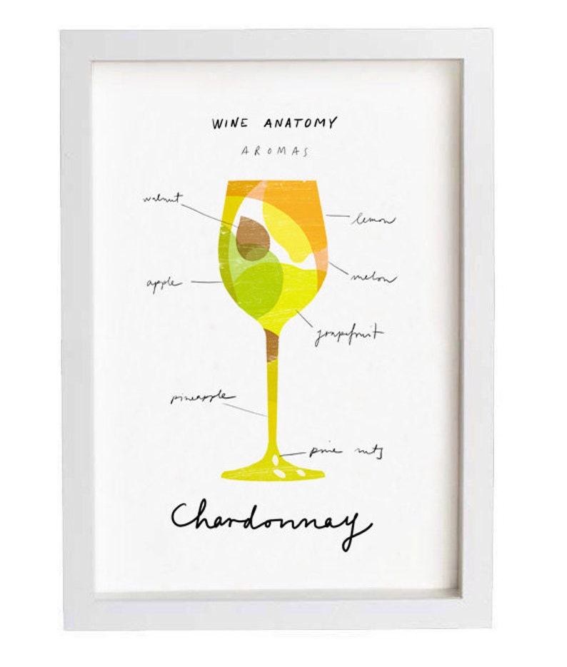 Art for wine lovers Wine Anatomy print Chardonnay Illustration 11x15 archival fine art giclée print image 1