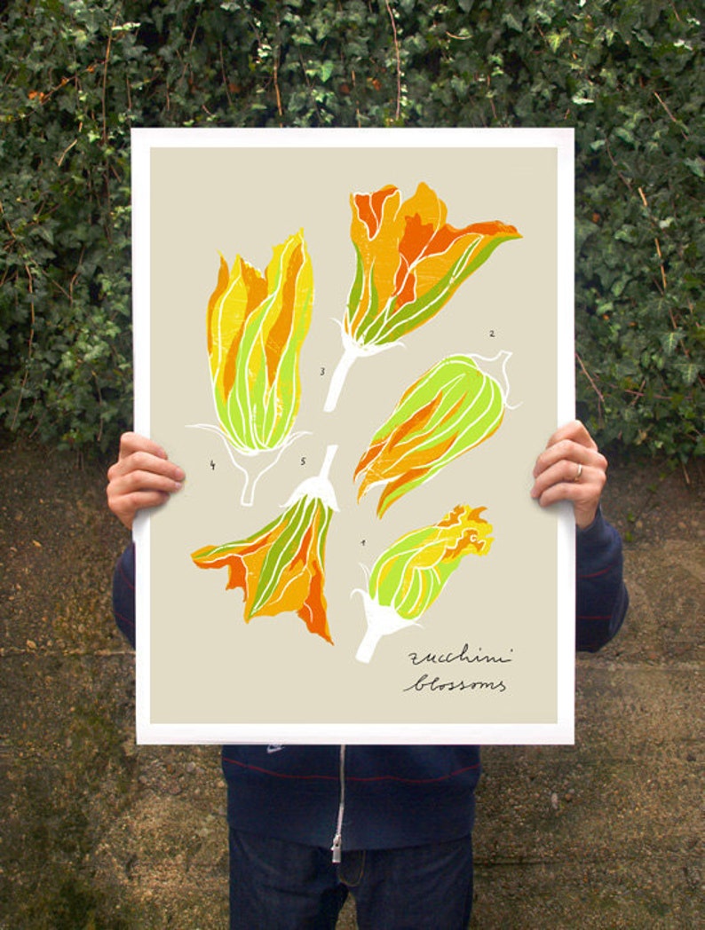 Zucchini blossoms beige Kitchen art print 11x15 archival fine art giclée print image 2