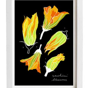 Zucchini blossoms - Kitchen art print - 11"x15" - archival fine art giclée print