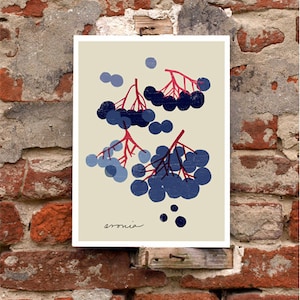 Black Chokeberry - Deep blue Aronia - Fruit art print  -  11"x15" - archival fine art giclée print