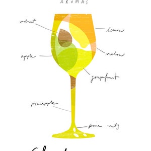 Art for wine lovers Wine Anatomy print Chardonnay Illustration 11x15 archival fine art giclée print image 2