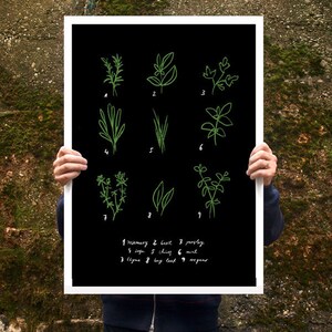 Botanical Chart Herbs Poster print 20x27 archival fine art giclée print image 1