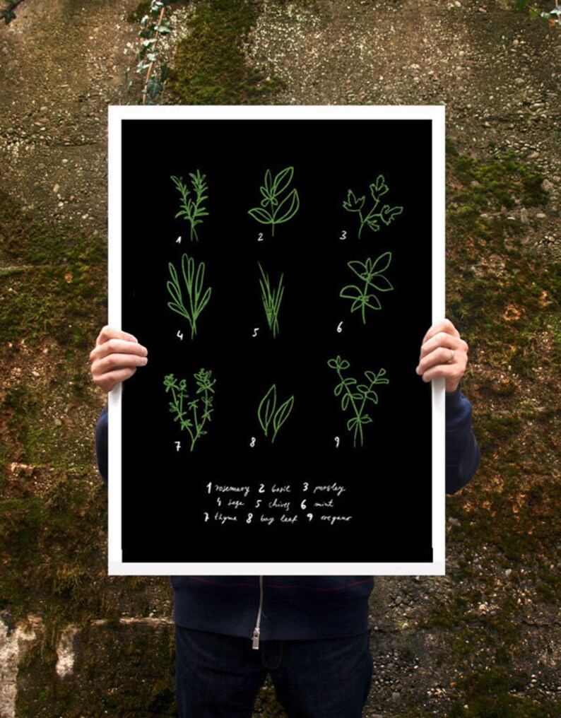 Botanical Chart Herbs Poster print 20x27 archival fine art giclée print image 1