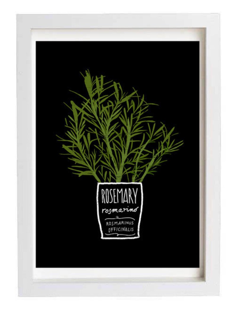 ROSEMARY Kitchen Art Print 11x15 archival fine art giclée print image 1