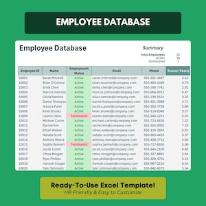 Modello di database dei dipendenti Foglio di calcolo per il monitoraggio del personale Strumento Excel per le risorse umane Organizzatore di gestione del personale Foglio di elenco della forza lavoro Lavoratore d'azienda