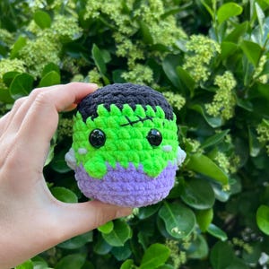 Pode incluir: Um brinquedo de crochê feito à mão em forma de monstro de Frankenstein. O brinquedo apresenta uma parte superior preta, um rosto verde, um corpo roxo e olhos pretos. O brinquedo é segurado em frente a um fundo de folhas verdes.