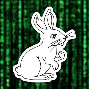 Peut inclure: Un dessin au trait d'un lapin blanc aux longues oreilles, assis sur ses pattes arrière avec ses pattes avant levées. Le lapin a une expression sérieuse sur son visage.