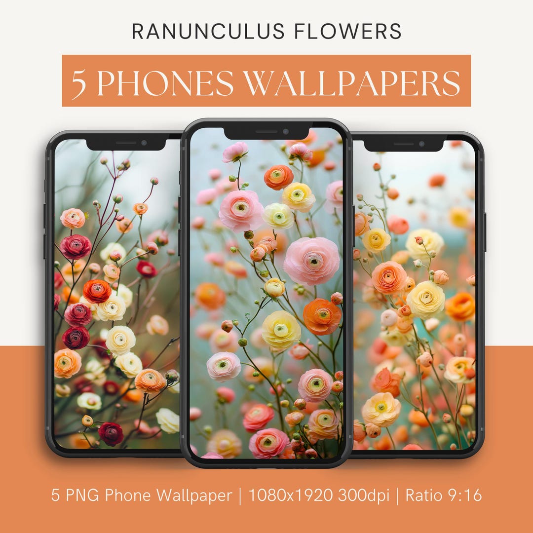 Ranunculus Flower Phone Wallpaper Stylish Floral Background for iPhone ...