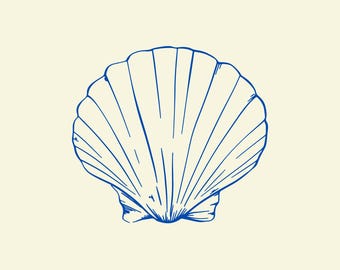 Seashell Wall Art