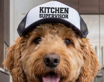 Funny Foam Trucker Hat For Dogs, Pet Costume, Dog Mom Gift