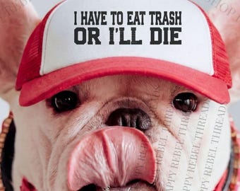 Funny Dog Trucker Hat,  Weird Friend Gift, Pet Costume, Dog Mom Gift
