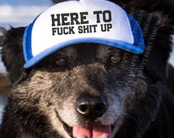 Funny Dog Hat, Dog Costume, Dog Dad Gift, Snarky Hat, Weird Friend Gift