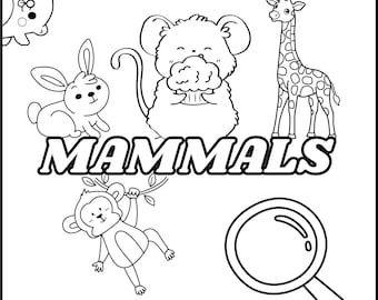 Mammal Coloring Book: Fun Animal Illustrations for Kids (Digital Download)