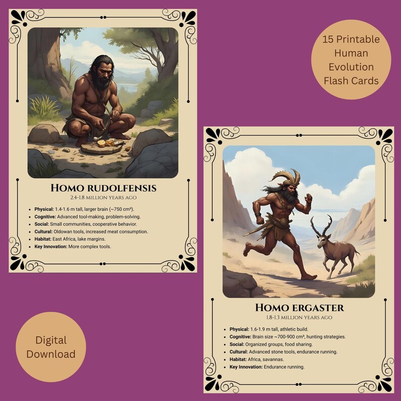 Human Evolution Flash Cards Printable Anthropology Learning Pdf