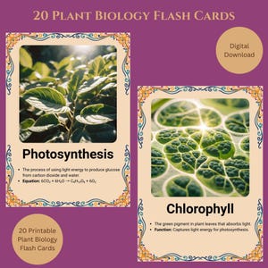 Pflanzenbiologie Karteikarten | 20 digitale Lernkarten mit Bildern | Anleitung zum Botanik-Lernführer für Studenten, ap Biologie, Hauptschule (PDF Download)