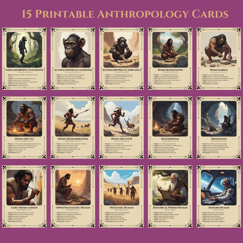 Human Evolution Flash Cards: Printable Anthropology Learning (PDF ...