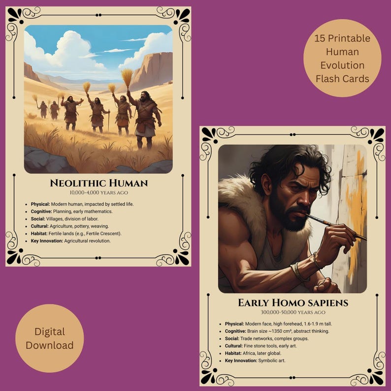 Human Evolution Flash Cards Printable Anthropology Learning Pdf