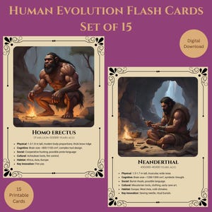 Cartes éclair sur l'évolution humaine | 15 cartes numériques d'anthropologie imprimables pour l'éducation | Apprentissage des sciences à la maison | Cartes Humains préhistoriques