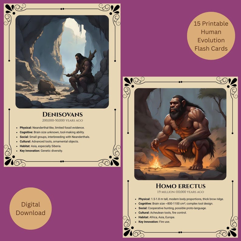 Human Evolution Flash Cards Printable Anthropology Learning Pdf