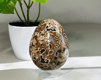 Ocean Jasper Egg – Calming, Nurturing & Collectible Beauty