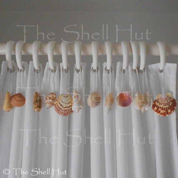 Seashells Shower Curtain Hook Embellishment 12 Real Shells Add Etsy