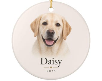 Personalized Pet Photo Ornament, Dog or Cat Name and Year, Minimal Design