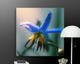 Glücksbringer Blume