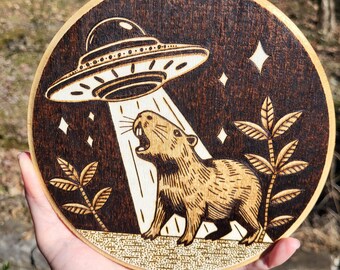 May include: A wood-burned round plaque with a dark brown background. A cartoon image of a capybara with its mouth open is being beamed up by a flying saucer. The image is surrounded by small stars and leaves.