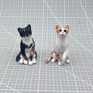 Personalized Custom Pet Pet Wedding Cake Toppers, Cat Cake Toppers, Wedding Cake Toppers, Pet Birthday, Wedding Cake Toppers With Dogs