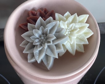 Poinsettia Flower, Wax melts - Pack of 3