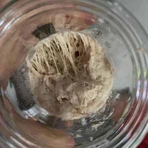 Sourdough Starter - Hydrated Version