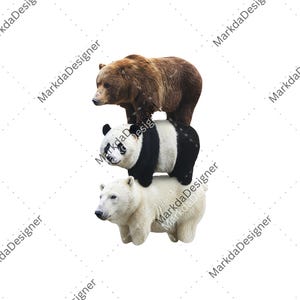 We Bears Realistic Digital Download, Stacked Bares PNG, Retro Grizzly Bears Sublimation, Wildlife Nature Gift Digital Download