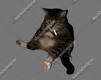 Funny Smoking Cat Meme PNG, Cigarette Cat Sublimation, Gen Z Joke Digital Download, Stupid Brainrot, Cat Lover, Funny Kitty, Cool Cat PNG