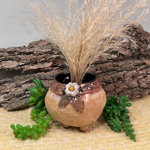 Puede incluir: Una pequeña maceta redonda de cerámica de color beige con una banda decorativa marrón y un acento floral blanco. La maceta contiene hierba ornamental seca. Se colocan suculentas verdes falsas alrededor de la maceta, con un fondo de corteza texturizada.