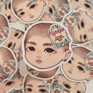 Hyunjin-sticker K-pop Stray Kids l Leuke SKZ-fanart voor gasten l Cadeau k-pop zwerfkinderen l Merchandise verdwaalde kinderen l Kamerdecoratiekunst l chibi kiwijin