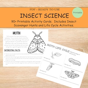 Insect Science For Kids, Insect Life Cycle, Entomology Activity Sheets, Insect Anatomy Worksheets, Bug Life Cycle, Insect Learning Resource