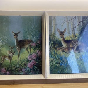 May include: Two framed wall art prints featuring deer in a forest setting. The left print shows a doe with two fawns among pink rhododendrons. The right print depicts a doe and a fawn resting in a woodland area with bluebells and trees.