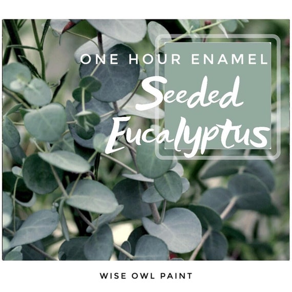 Wonderbaarlijk Seeded Eucalyptus-Wise Owl One Hour Enamel Paint-Quarts | Etsy KS-39